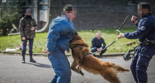 Maxou5-small-21032018-