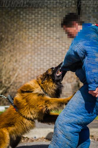 Maxou7-small-21032018-