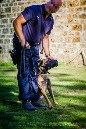 Neptune1-11092018 (1)