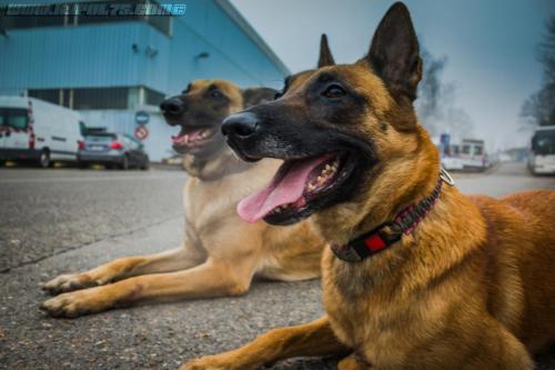 Nounouche-Sillex1-27122018-