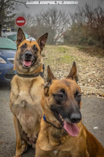 Nounouche-Sillex2-27122018-