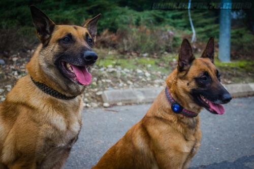 Nounouche-Sillex3-27122018-