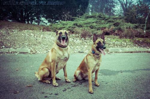 Nounouche-Sillex4-27122018-