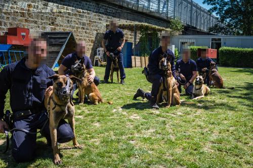 Patrol-finStage11-small-29062018-