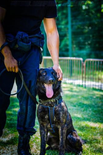Patrol-finStage14-small-29062018-