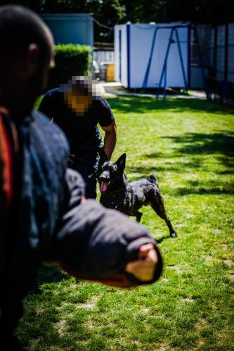 Patrol-finStage15-small-29062018-