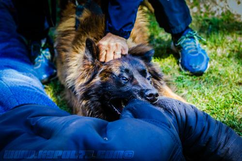 Patrol-finStage18-small-29062018-