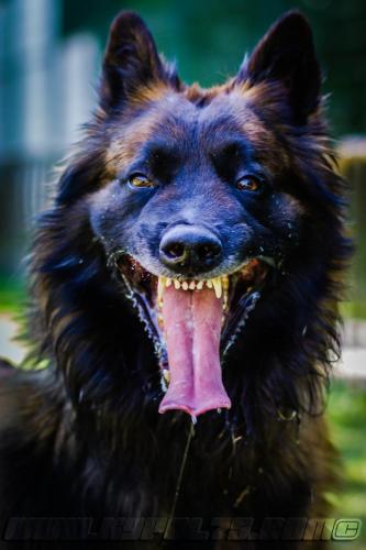 Patrol-finStage19-small-29062018-