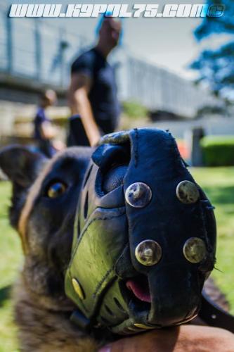 Patrol-finStage2-small-29062018-