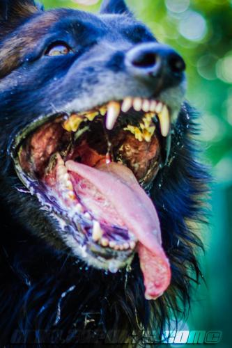 Patrol-finStage20-small-29062018-