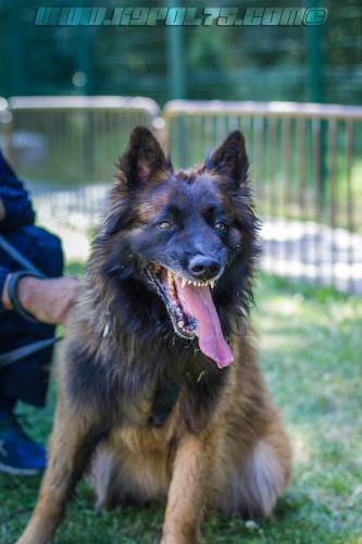 Patrol-finStage21-small-29062018-