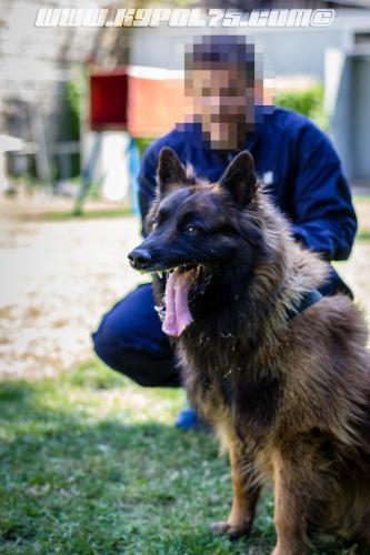 Patrol-finStage23-small-29062018-