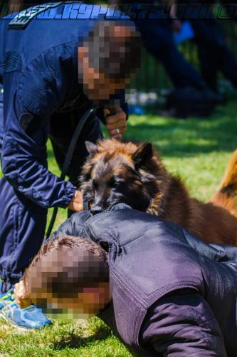 Patrol-finStage26-small-29062018-