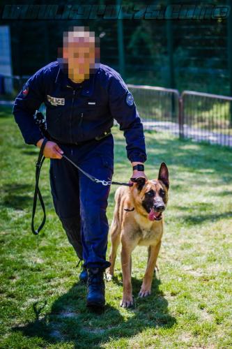 Patrol-finStage28-small-29062018-