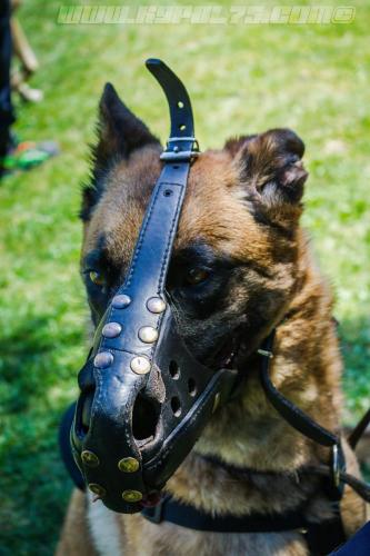 Patrol-finStage3-small-29062018-