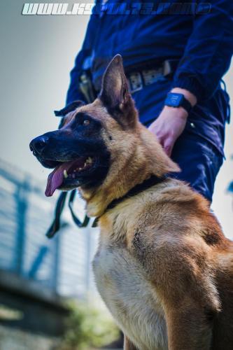 Patrol-finStage30-small-29062018-