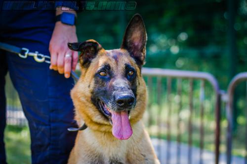 Patrol-finStage31-small-29062018-