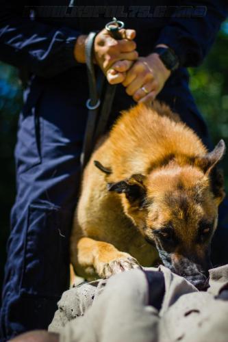 Patrol-finStage34-small-29062018-