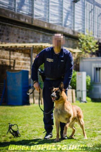 Patrol-finStage35-small-29062018-