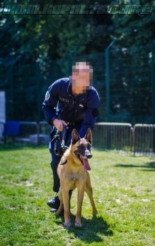 Patrol-finStage36-small-29062018-