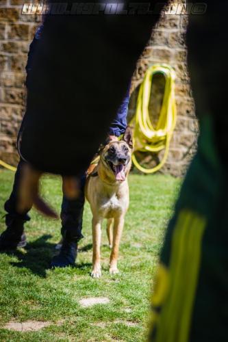 Patrol-finStage37-small-29062018-