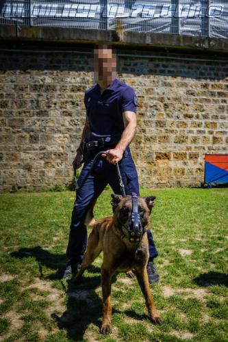 Patrol-finStage5-small-29062018-