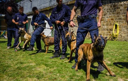 Patrol-finStage6-small-29062018-