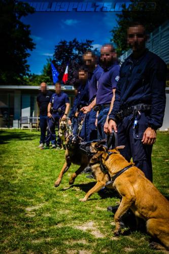 Patrol-finStage8-small-29062018-