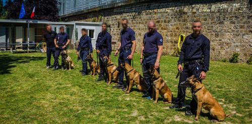 Patrol-finStage9-small-29062018-