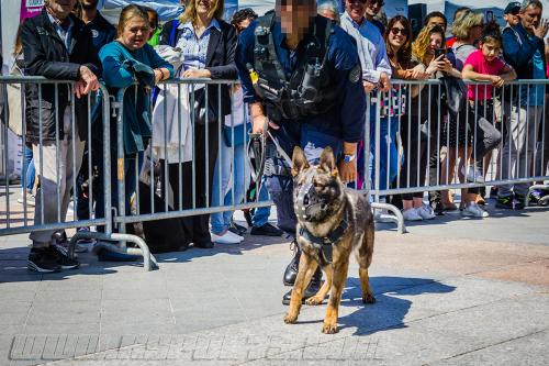 Patrol1-small-05052018-