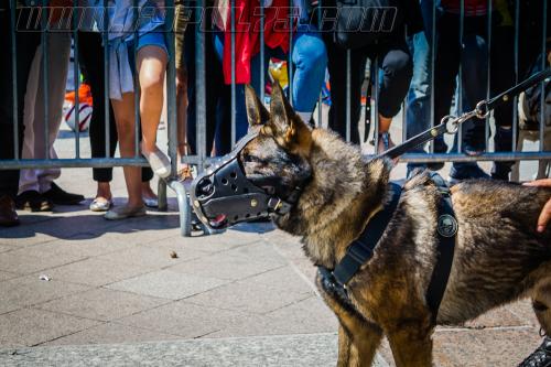 Patrol2-small-05052018-