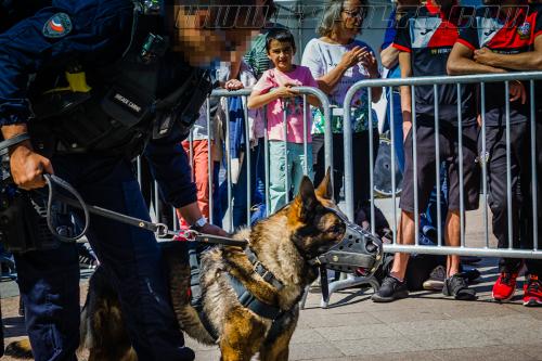 Patrol3-small-05052018-