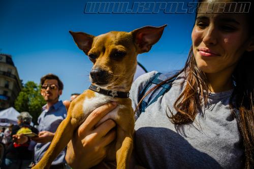 Pote-Iznol2-small-05052018-