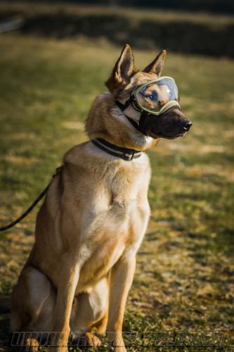 Rexspec-IRISsmall-28022018-