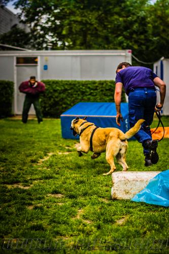 Stagepatrol1-small-30052018-