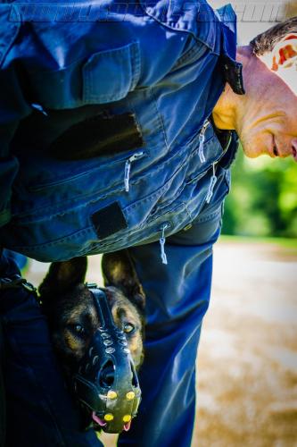 Stagepatrol10-small-02052018-