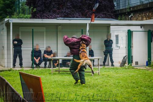 Stagepatrol10-small-30052018-