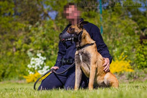 Stagepatrol12-small-02052018-