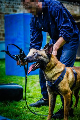 Stagepatrol12-small-30052018-