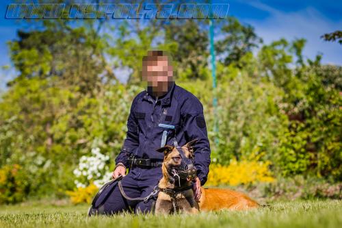 Stagepatrol13-small-02052018-