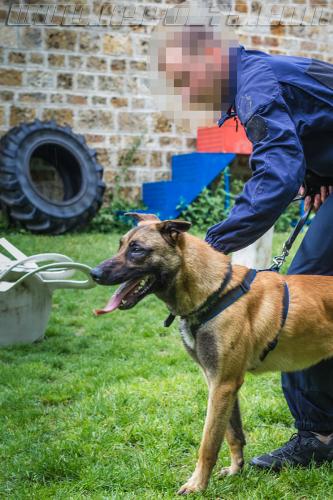 Stagepatrol15-small-30052018-