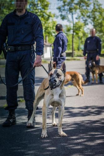 Stagepatrol16-small-02052018-