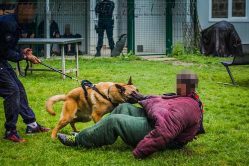 Stagepatrol16-small-30052018-