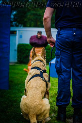 Stagepatrol2-small-30052018-