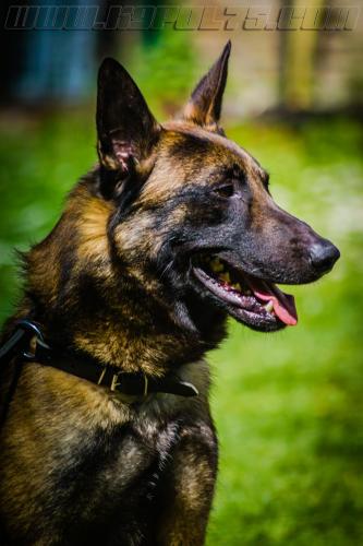 Stagepatrol3-small-02052018-