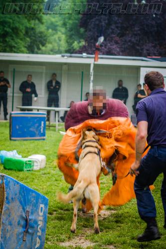 Stagepatrol3-small-30052018-