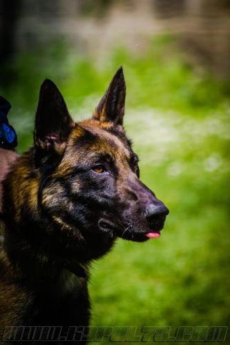 Stagepatrol4-small-02052018-