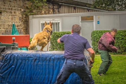 Stagepatrol4-small-30052018-