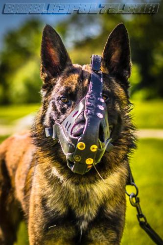 Stagepatrol5-small-02052018-