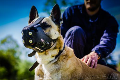 Stagepatrol6-small-02052018-